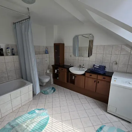 Ferienwohnung Flonta Митвайда